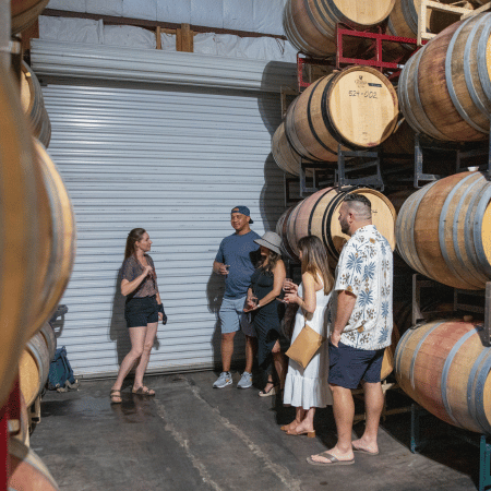 summer-cellar-tour-1